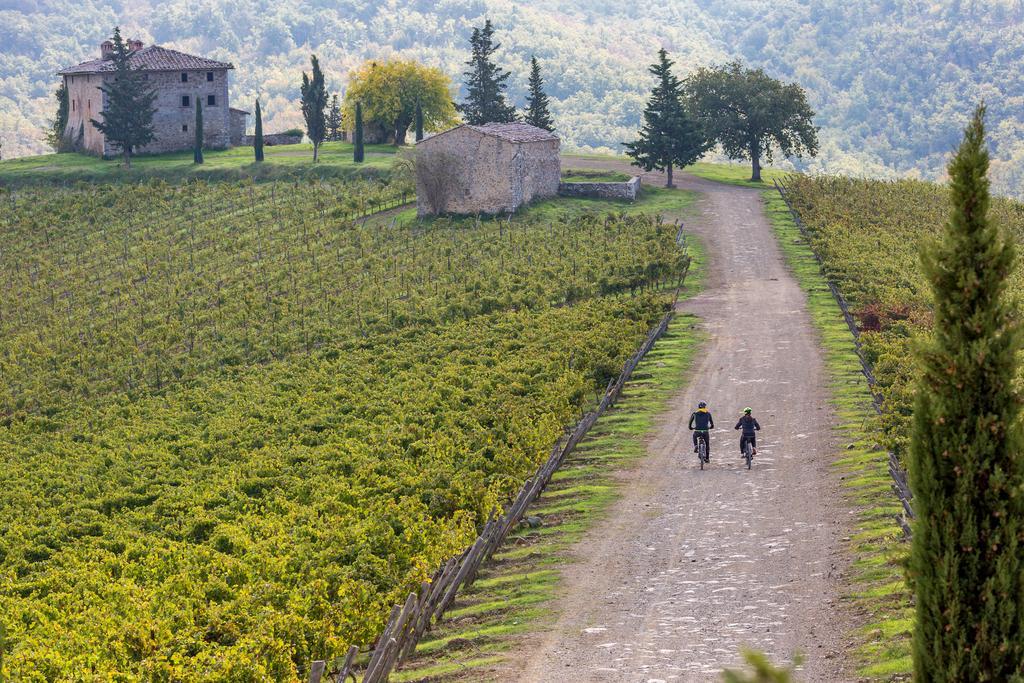 Villa Di Capovento Castellina in Chianti Exteriör bild