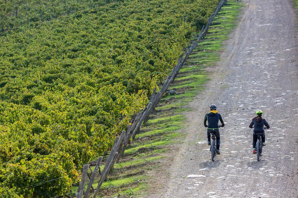 Villa Di Capovento Castellina in Chianti Exteriör bild